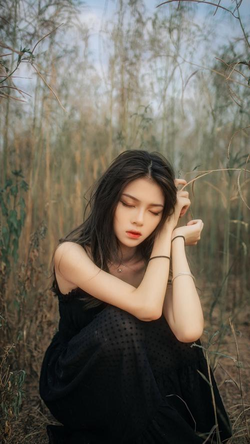 人与动物ppt免费模板大全一年级内容